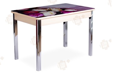 Кухонный раскладной стол Айсберг-01 СТФ, дуб/фотопечать пионы/ноги хром квадратные в Магадане