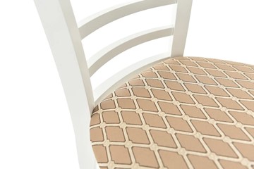 Обеденный стул Бурбон (Тон 9-Эмаль белая, Призма 37-1) в Магадане - предосмотр 8