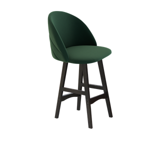 Полубарный стул SHT-ST35-2 / SHT-S65-1 (лиственно-зеленый/венге) в Магадане