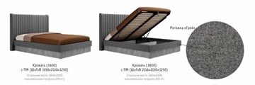 Кровать с механизмом двуспальная Бержер, 1600, Б 2.0.5 в Магадане - предосмотр 2