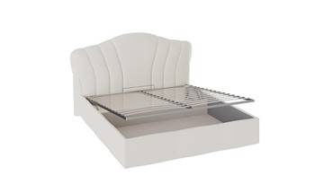 Двуспальная кровать с механизмом Сабрина ТД-307.01.02 в Магадане - предосмотр