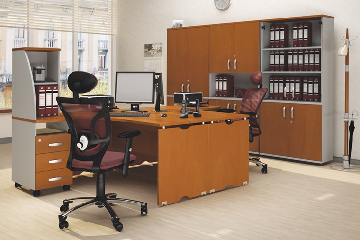 Офисный набор мебели Милан для 2 сотрудников с тумбочками и большим шкафом в Магадане - изображение