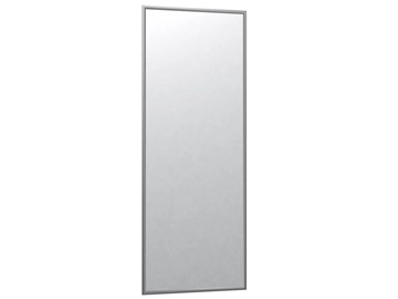 Зеркало навесное в гардероб Сельетта-6 матовое серебро (1100х400х9) в Магадане - предосмотр