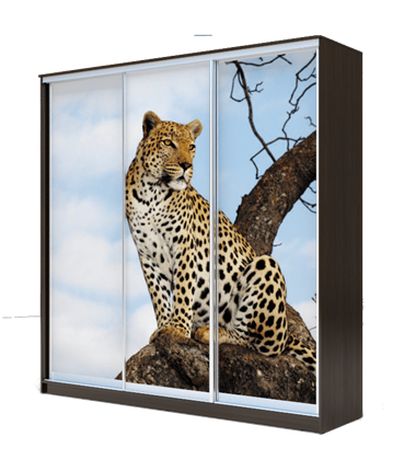 Шкаф 3-х дверный 2200х1770х620, Леопард ХИТ 22-18/2-777-04 Венге Аруба в Магадане - изображение