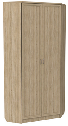 Шкаф распашной 401 угловой со штангой, цвет Дуб Сонома в Магадане - изображение