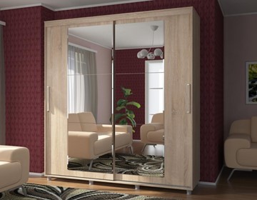 Шкаф 2-х створчатый Комфорт №12 2.0 с прямоугольными зеркалами в Магадане - предосмотр