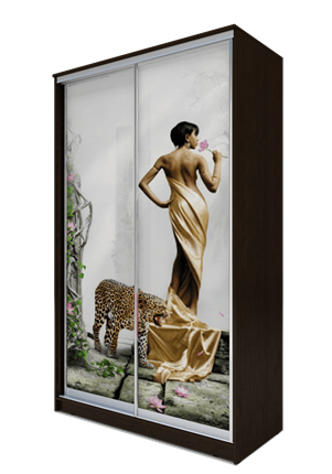 Шкаф-купе 2-х створчатый 2200х1200х420, Девушка с леопардом ХИТ 22-4-12-77-03 Венге Аруба в Магадане - изображение