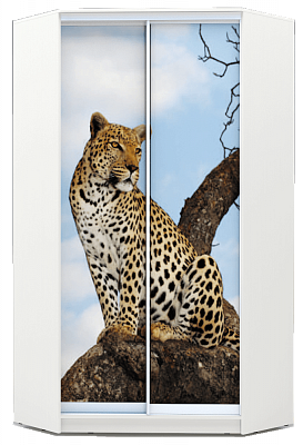 Шкаф-купе 2400х1103, ХИТ У-24-4-77-04, Леопард, белая шагрень в Магадане - изображение