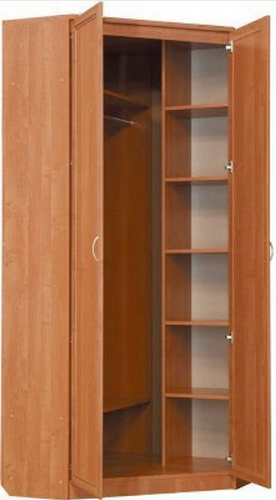Шкаф распашной 401 угловой со штангой, цвет Дуб Сонома в Магадане - изображение 1