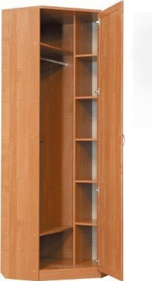 Шкаф распашной 402 угловой со штангой, цвет Дуб Сонома в Магадане - изображение 1