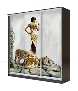 Шкаф 3-х створчатый 2200х2000х420, Девушка с леопардом ХИТ 22-4-20-777-03 Венге Аруба в Магадане