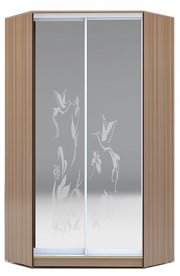 Шкаф угловой 2300х1103, ХИТ У-23-4-66-03, колибри, 2 зеркала, шимо темный в Магадане - изображение