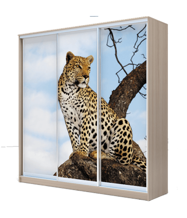 Шкаф 2400х2000х420, Леопард ХИТ 24-4-20-777-04 Ясень Шимо Светлый в Магадане - изображение
