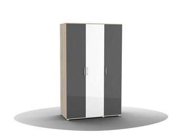 Шкаф для одежды Silvia, ШО-03 (2г/1зр), цвет фасада антрацит в Магадане - предосмотр