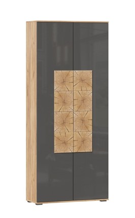 Шкаф двухстворчатый Фиджи с декоративными накладками 659.310, Дуб Золотой/Антрацит в Магадане - изображение