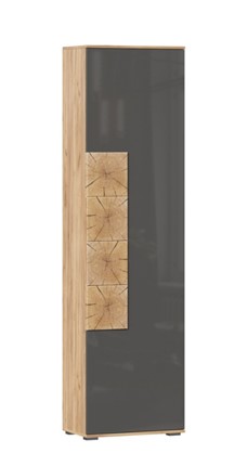 Шкаф одностворчатый Фиджи с декоративными накладками 659.300, Дуб Золотой/Антрацит в Магадане - изображение