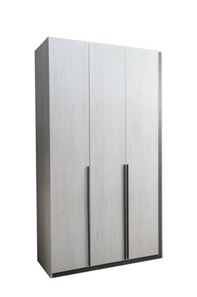 3-створчатый шкаф Винтер-3, винтерберг/темно-серый в Магадане - изображение