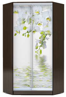 Шкаф 2300х1103, ХИТ У-23-4-77-05, Белая орхидея, венге в Магадане - изображение