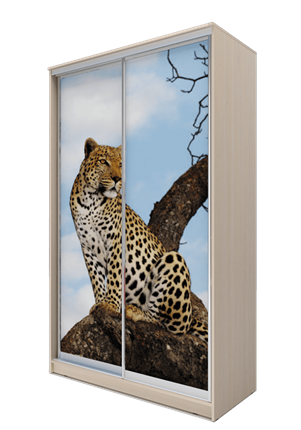 Шкаф 2-х дверный 2200х1682х420, Леопард ХИТ 22-4-17-77-04 Дуб Млечный в Магадане - изображение