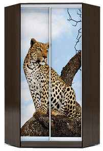 Угловой шкаф 2200х1103, ХИТ У-22-4-77-04, Леопард, венге аруба в Магадане
