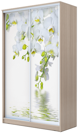 Шкаф 2400х1682х620, Белая Орхидея ХИТ 24-17-77-05 Ясень Шимо Светлый в Магадане - изображение