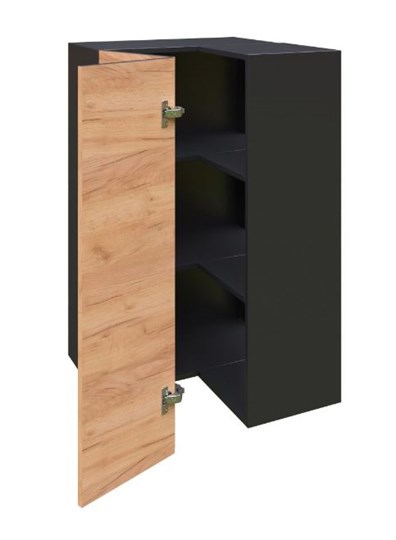 Шкаф кухонный угловой высокий Шервуд, ЛД 281.570.000.043, дуб золотой/черный в Магадане - изображение 1