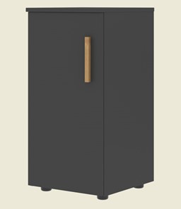 Низкий шкаф колонна с глухой дверью левой FORTA Черный Графит FLC 40.1 (L) (399х404х801) в Магадане - предосмотр