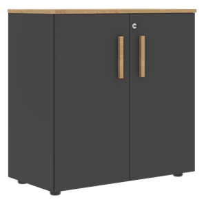 Шкаф широкий низкий с малыми дверцами FORTA Графит-Дуб Гамильтон  FLC 80.1(Z) (798х404х801) в Магадане - предосмотр