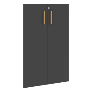 Двери для шкафов средние с замком FORTA Черный Графит FMD 40-2(Z) (794х18х1164) в Магадане