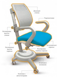 Детское кресло Mealux Ergoback BL (арт.Y-1020 KBL) в Магадане - предосмотр 6