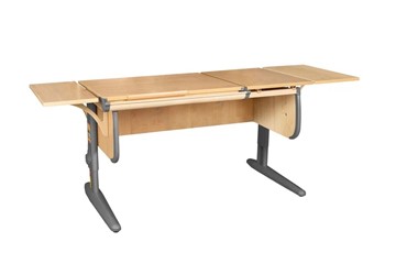 Детский стол-трансформер 1/75-40 (СУТ.25) + Polka_b 1/550 (2 шт.) бежевый/серый/серый в Магадане