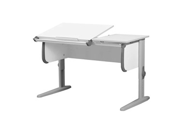 Растущий стол 1/75-40 (СУТ.25) белый/серый/серый в Магадане