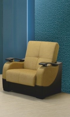 Кресло Элегия 4 в Магадане - изображение
